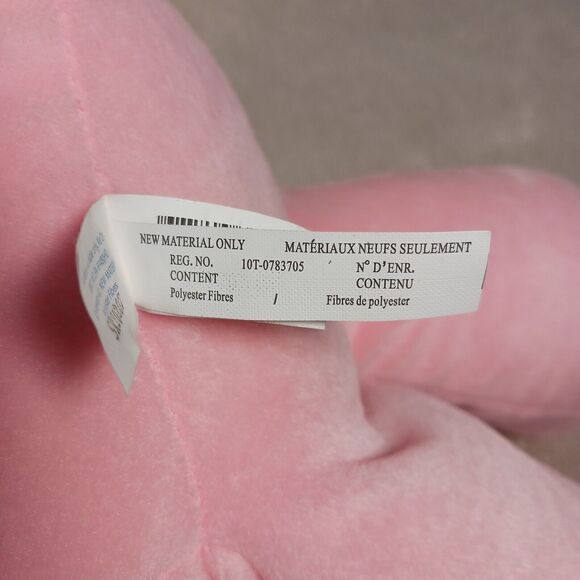 Care Bears Rare 2007 JUMBO Cheer Rainbow Bear 24" Pink Plush Stuffed Toy EUC - Picture 9 of 11